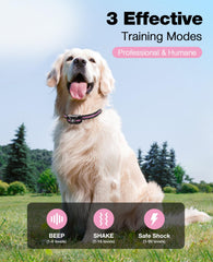 Bousnic training collar beep levels clearly labeled for guided training.