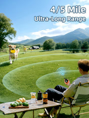 BOUSNIC dog collar remote shows boosted shock mode for stronger corrections when needed.