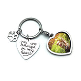 bouti1583 pet remembrance keychain photo frame with paw motif offers a tender keepsake
