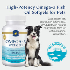 Bovi.InnateWell Omega-3 for dogs pouring oil over food supports coat health