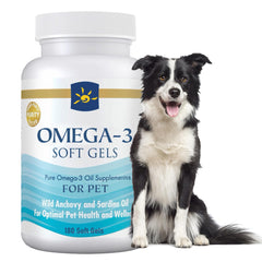 Bovi.InnateWell Omega-3 pet fish oil bottle highlights pure, sustainable formula for dogs