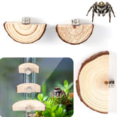 BOXOB jumping spider ledges in different sizes provide stable resting and observation spots