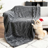 BoxZone waterproof dog blanket on sofa protects furniture and keeps your dog cozy.