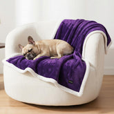 BoxZone Waterproof Dog Blanket fold protects furniture while keeping small dogs dry and comfy.