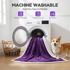 BoxZone waterproof dog blanket sofa-use showcases protective layer against spills.