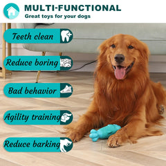BoYoYo dog toy squeaky play prompt for curious chewers.