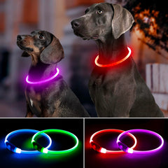 BPawser LED dog collar red on improves visibility during evening strolls.