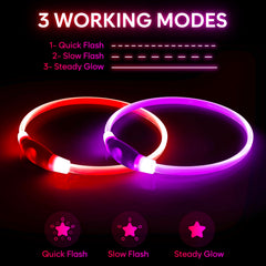 BPawser LED dog collar USB charging highlights quick recharging between adventures.