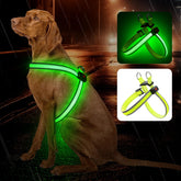 Bpawser Light Up Dog Harness front view with LEDs for safer night walking