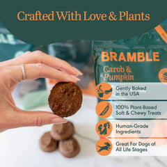 BRAMBLE pumpkin-carob image emphasizing pumpkin aroma and carob flavor