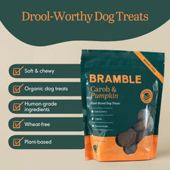 BRAMBLE dog treats soft-chewy close-up highlighting chewy texture and real ingredients