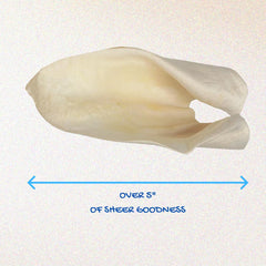 Brazilian Pet cow ears free-range cattle detail: quality origin and safety