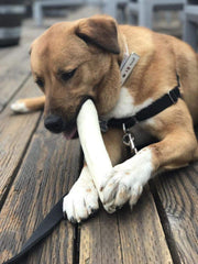 Brazilian Pet Premium Retriever Rolls close-up texture—natural hide for slow, satisfying chewing
