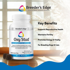 Revival Breeder's Edge Oxy Stud serving spoon, convenient daily dosing for consistent nutrition