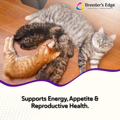 Breeders Edge Kitten Lyte scoop dispensing for easy administration.