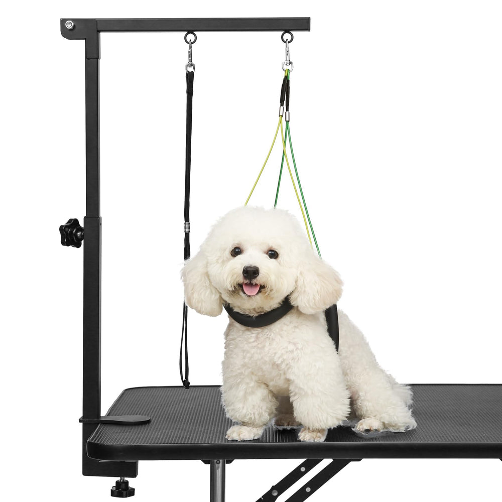 Breeze Touch dog grooming arm extended shows adjustable height for precise grooming sessions