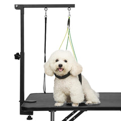 Breeze Touch dog grooming arm extended shows adjustable height for precise grooming sessions