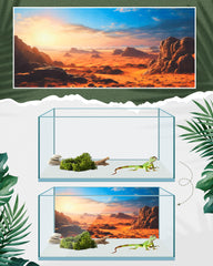 Breling reptile background stream scene boosts aquarium visual immersion