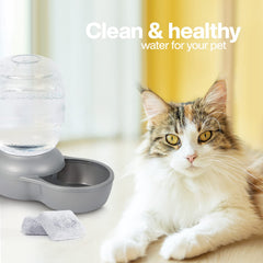 BRENSTEN Mason Gravity fountain filter highlights triple-layer protection for steady flow