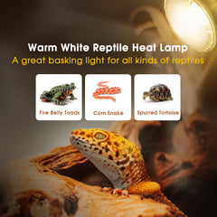 Luz UVA UVB Briignite para reptiles 2700K favorece actividad diaria.
