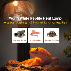 Briignite mini heat bulb fits compact habitats for bearded dragons and geckos.
