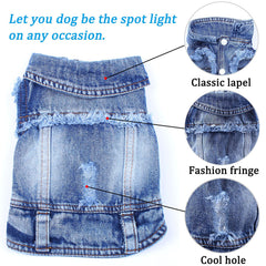Brocarp Dog Jean Jacket on puppy demonstrates easy on/off snaps for busy owners