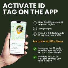 BRONZEDOG etiqueta QR de identificación para localizar y devolver a tu mascota.