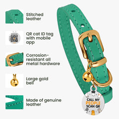 BRONZEDOG leather cat collar buckle close-up showing durable hardware