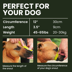 Mordaza BRONZEDOG ajustable con cuero e acero inoxidable para entrenamiento
