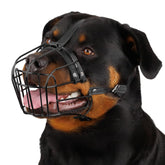 BRONZEDOG muzzle leather straps close-up showing premium materials for large dogs.