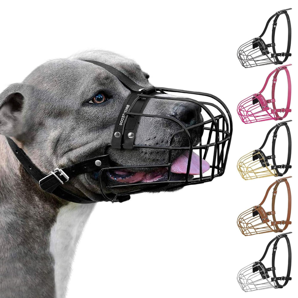 BRONZEDOG Pitbull muzzle metal basket front view shows secure, breathable design for walks