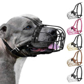 BRONZEDOG Pitbull muzzle metal basket front view shows secure, breathable design for walks