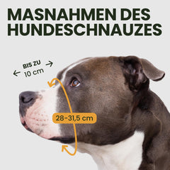 BRONZEDOG Pitbull muzzle metal basket side straps adjustment highlights customizable fit