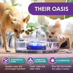 Brook Glass Pet Fountain assembly demonstrates quick disassembly for cleaning