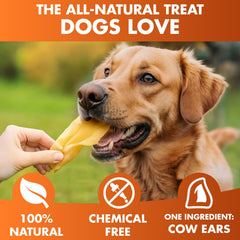 BRUTUS & BARNABY grass-fed Angus beef cow ears — real beef flavor for satisfying snack moments.