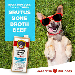 Brutus Bone Broth for Dogs in a serving bowl enhances kibble flavor