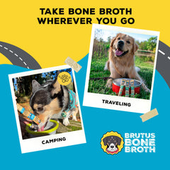 Brutus Bone Broth turmeric infusion emphasizes gentle anti-inflammatory notes.