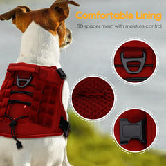 Bruvoalon harness front clip training enables effective no-pull control during walks