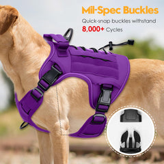 Bruvoalon purple MOLLE system harness for carrying gear on outdoor adventures