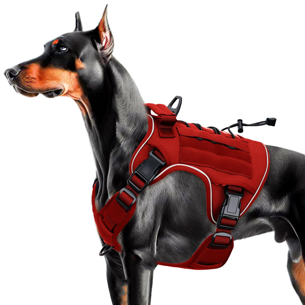 Bruvoalon heavy-duty tactical dog harness durability highlights rugged outdoor use and longevity