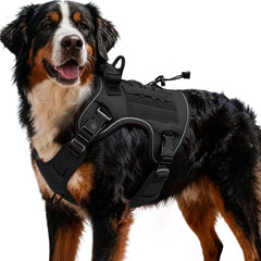 Bruvoalon heavy-duty tactical dog harness front view for large breed durability