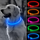 BSEEN light-up dog collar shows 360-degree visibility for night walks.
