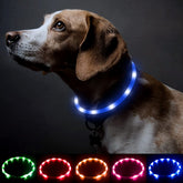 BSEEN light up dog collar blue on dog neck, high visibility at night for safety.