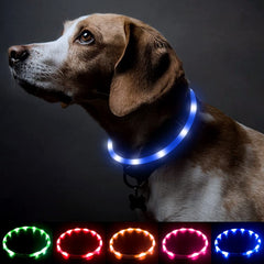 BSEEN light up dog collar blue on dog neck, high visibility at night for safety.