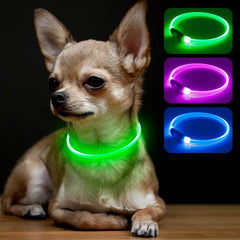 BSEEN Light Up Dog Collar front view in green highlighting night visibility.