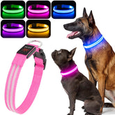 BSEEN Light Up Dog Collar glows on a dog at dusk for safer night walking.