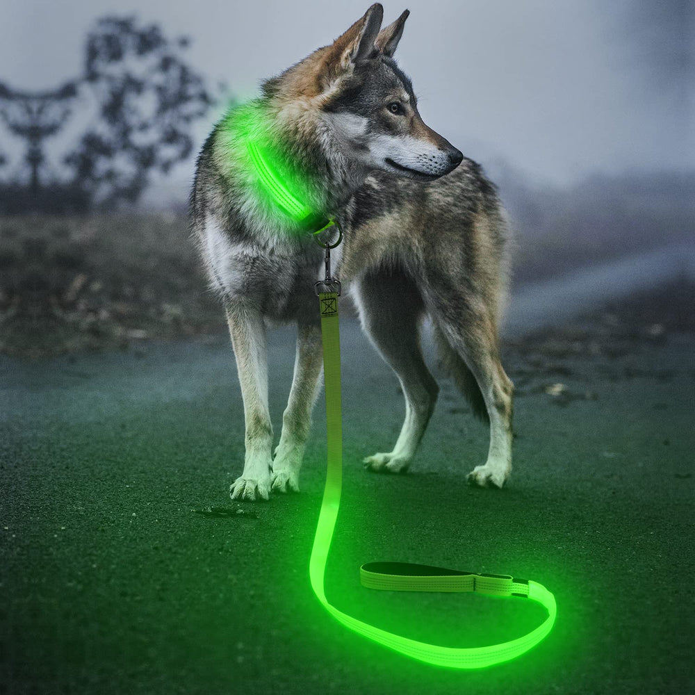 BSEEN light up dog leash 4ft green glow for higher night visibility