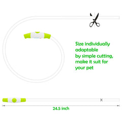 BSEEN USB rechargeable collar charging with USB cable