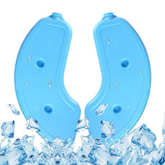 Bsemax replacement ice-pack two-pack keeps wet food fresh for meals