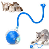 BSolus TinyFetch blue ball on floor boosts indoor active play and chase fun